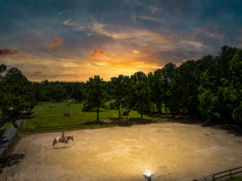 Rockin Horse Twilight